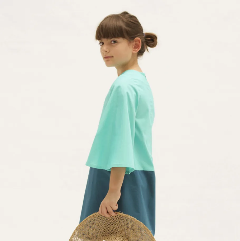 Color Blocked Dress