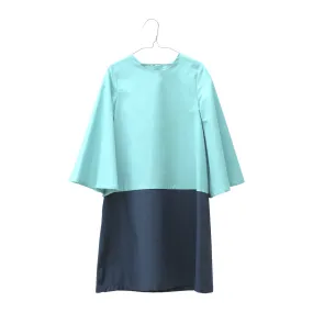 Color Blocked Dress