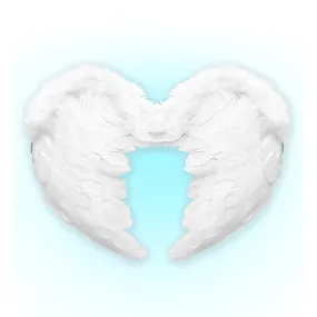 Deluxe White Feather Wings 50x40cm