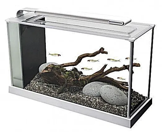 FLUVAL HAGEN Desktop Aquarium (Spec Series)